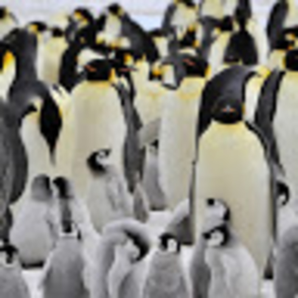 Meet your Posher, Gina